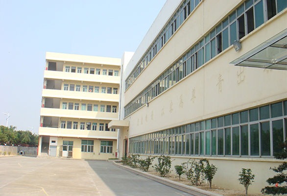 公司介紹